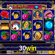 30win Rio de Janeiro - Bonus Terms